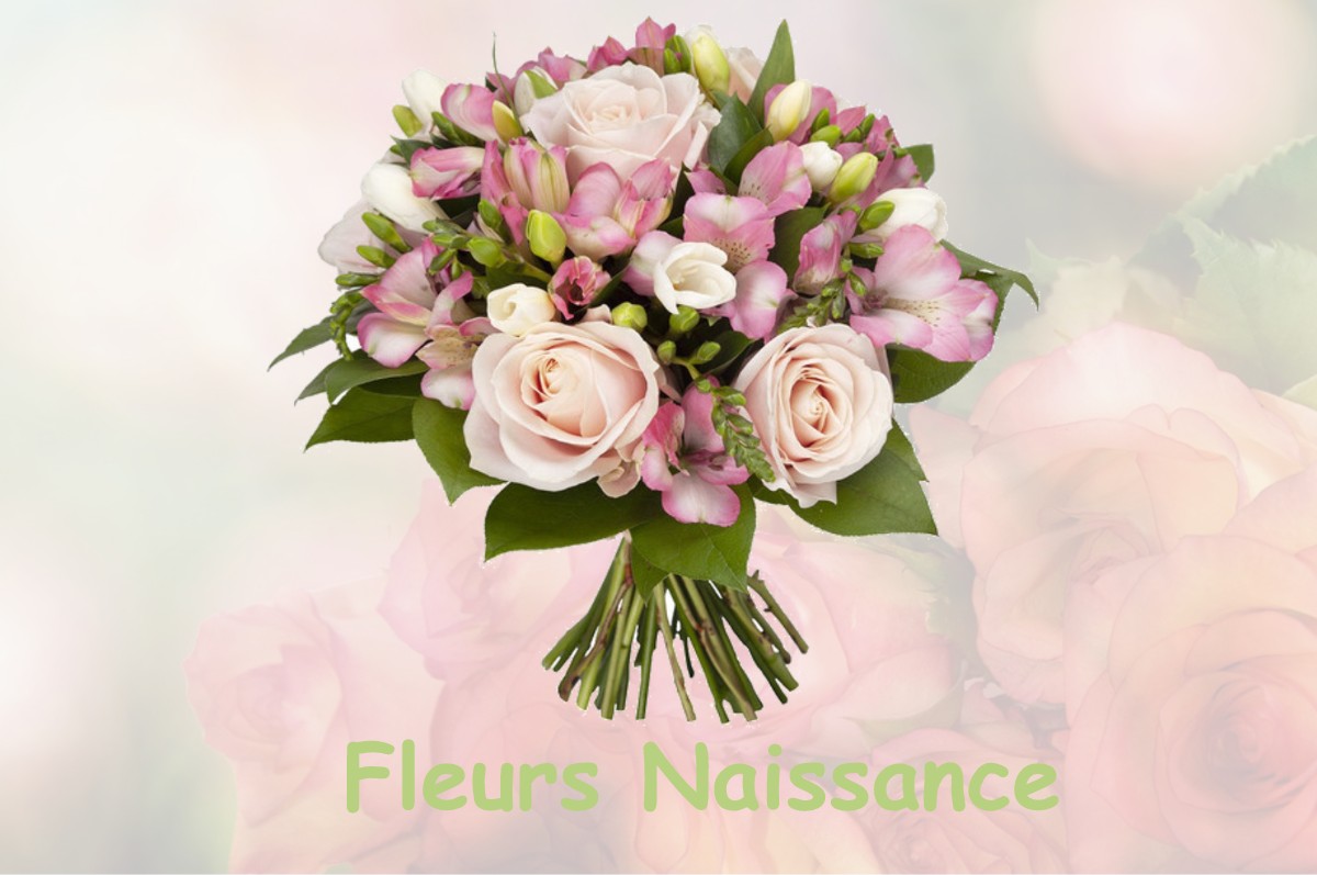 fleurs naissance SAINT-CYR-DE-VALORGES